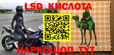 прущие грибы Каменск-Шахтинский