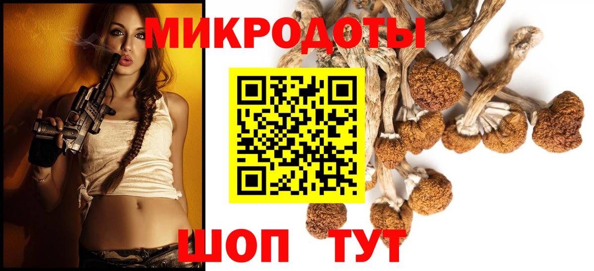 Котлас  Галлюциногенные грибы Psilocybine cubensis  Псилоцибиновые грибы Psilocybine cubensis  Вход с VPN 